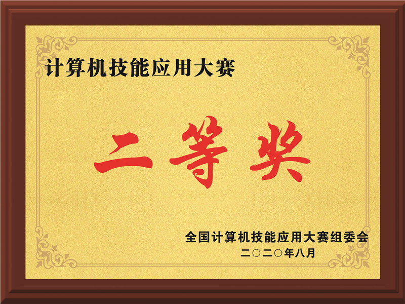 計(jì)算機(jī)技能應(yīng)用大賽二等獎